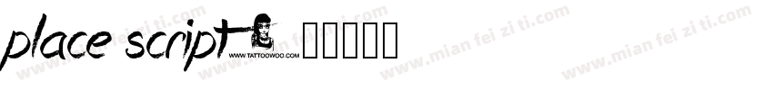 place script字体转换